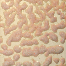 Load image into Gallery viewer, Amaco Crawls