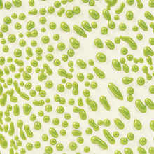 Load image into Gallery viewer, Amaco Crawls