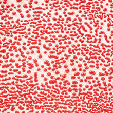 Load image into Gallery viewer, Amaco Crawls