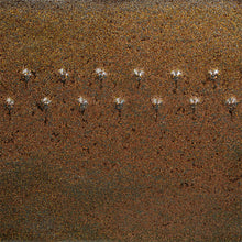 Load image into Gallery viewer, Amaco Potter's Choice