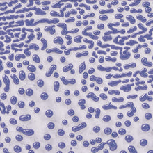 Load image into Gallery viewer, Amaco Crawls