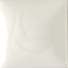 Load image into Gallery viewer, Envision Clear Brushing