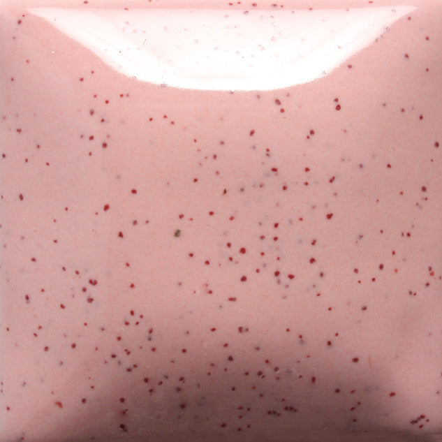 Mayco Speckled Stroke & Coat