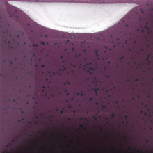 Load image into Gallery viewer, Mayco Speckled Stroke &amp; Coat
