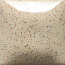Load image into Gallery viewer, Mayco Speckled Stroke &amp; Coat