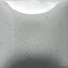 Load image into Gallery viewer, Mayco Speckled Stroke &amp; Coat