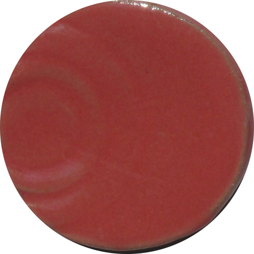 1244 Shrimp Bisque - DISCONTINUED